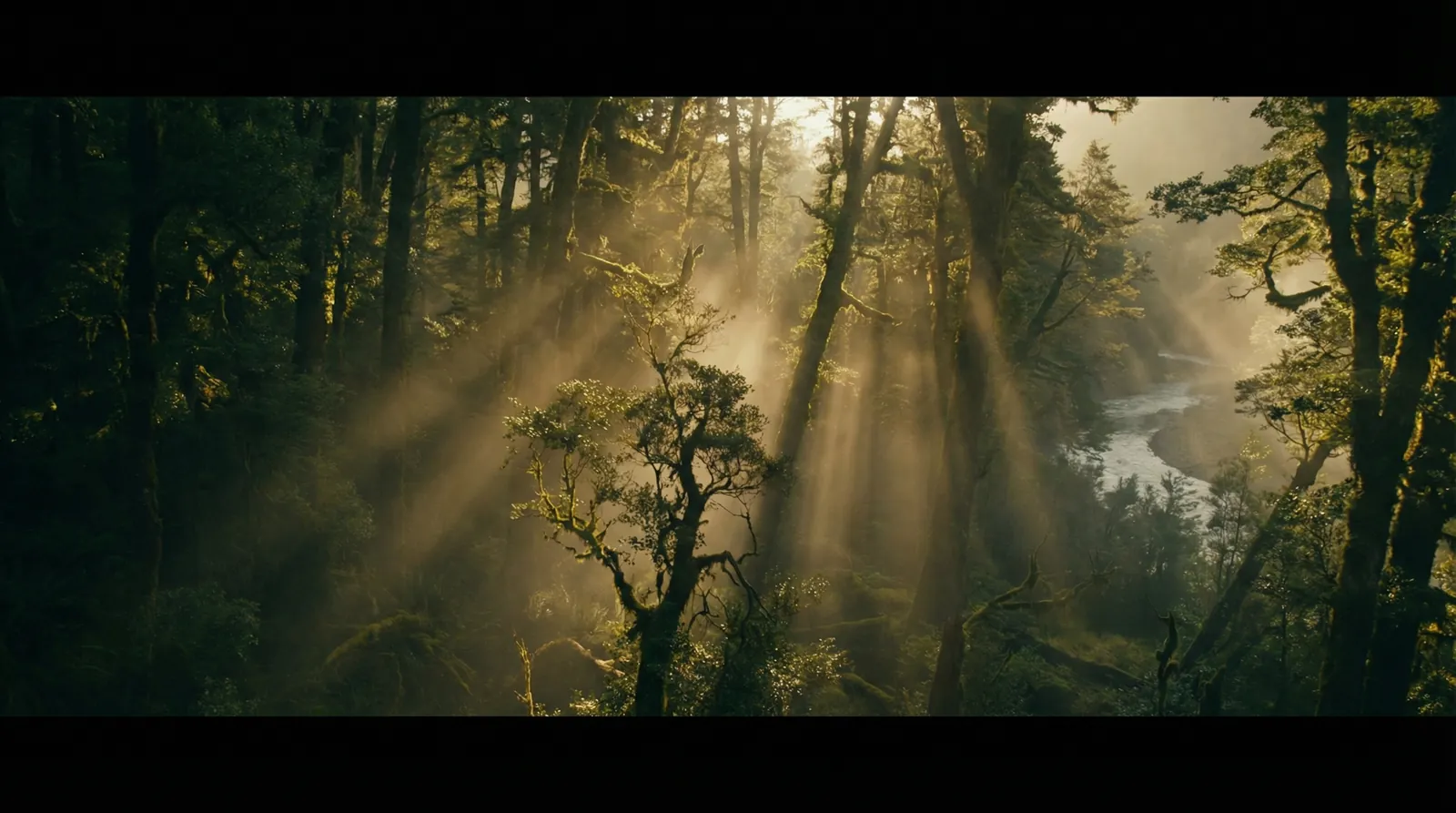 国产一线二线三线女装品牌::国产一线二线三线女装品牌免费观看-国产一线二线三线女装品牌交流社区 自然纪录片风格调色案例